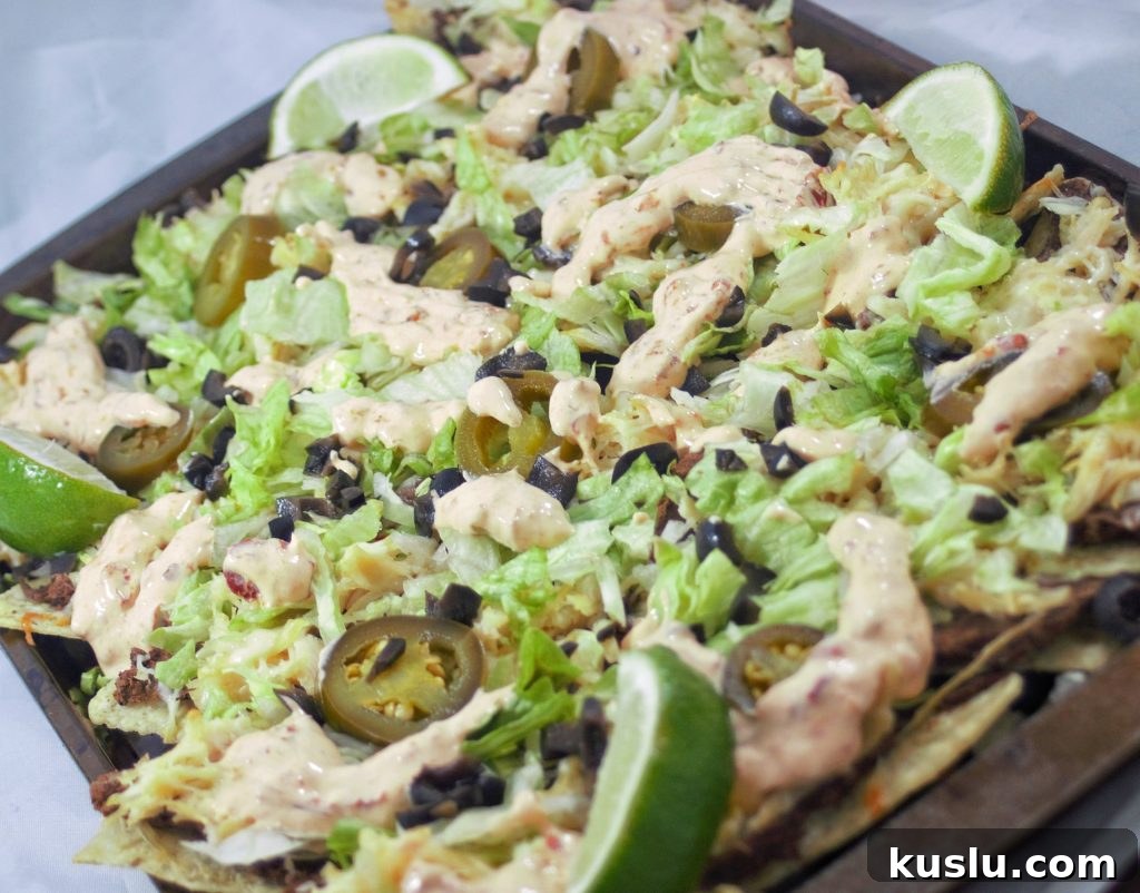 Black Bean and Chicken Nachos