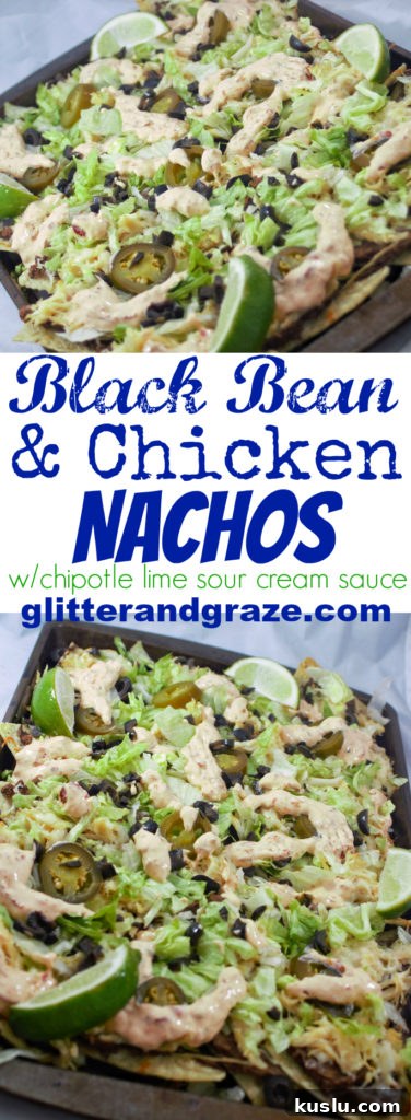 Black Bean and Chicken Nachos