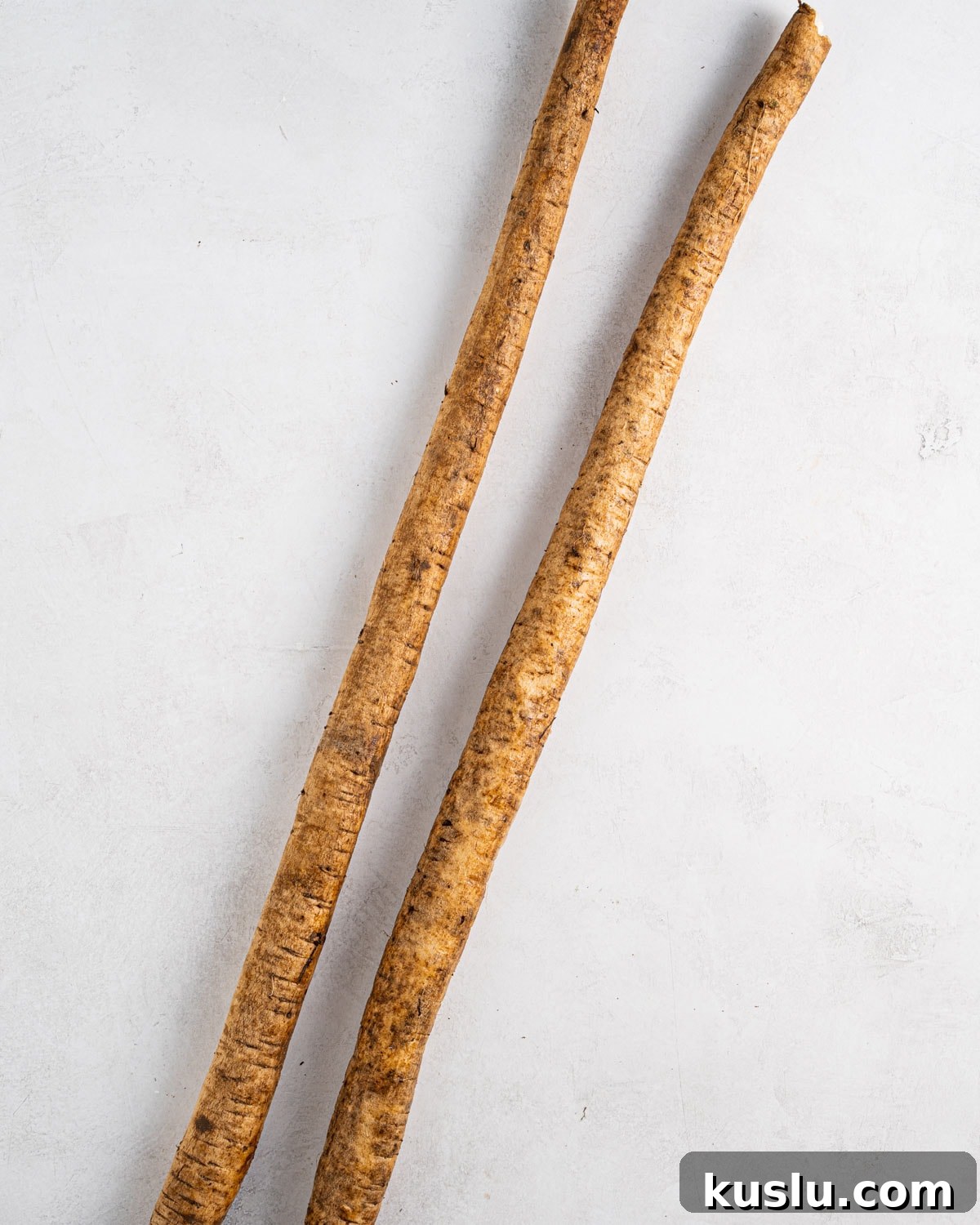 2 burdock roots on a white background.