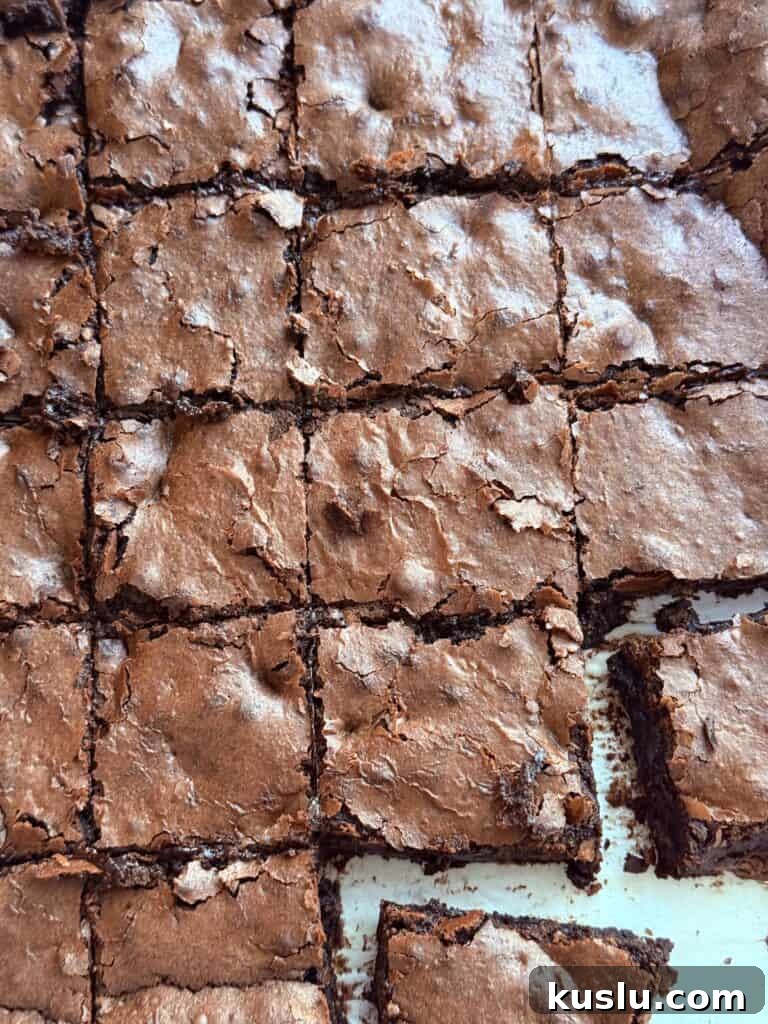 Fudgy Passover Brownies with Rich Chocolate Texture 2 fudgy Pesach brownies