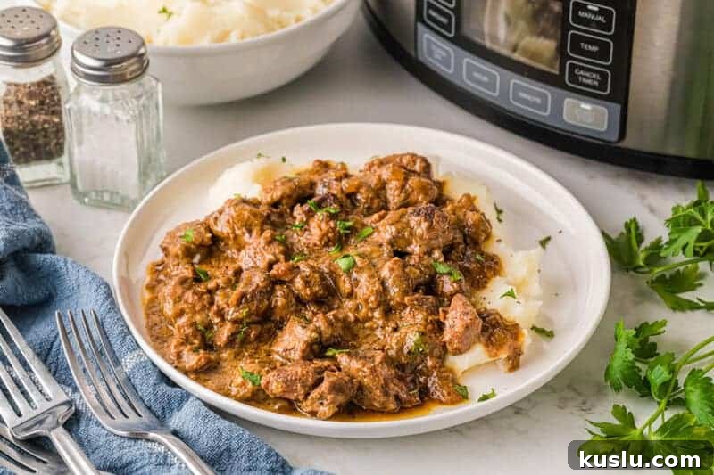 Simple Weeknight Dinner Recipes for Busy Families 11 Slow Cooker Beef Sticks served on a white plate.