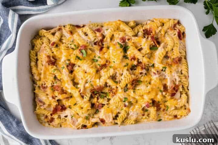 Simple Weeknight Dinner Recipes for Busy Families 5 top-down view of the Chicken Bacon Ranch Casserole.