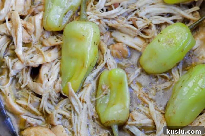 Simple Weeknight Dinner Recipes for Busy Families 8 closeup of the Slow Cooker Mississippi Chicken.