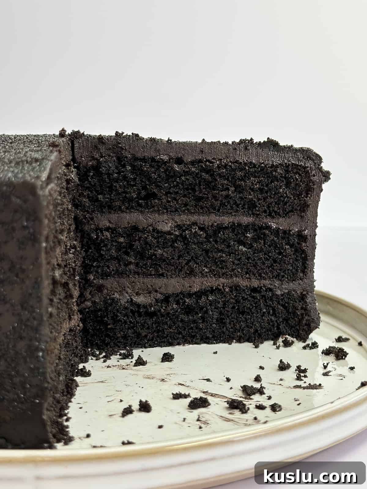 showing inside the cut black chocolate cake to see all the layers and frosting.