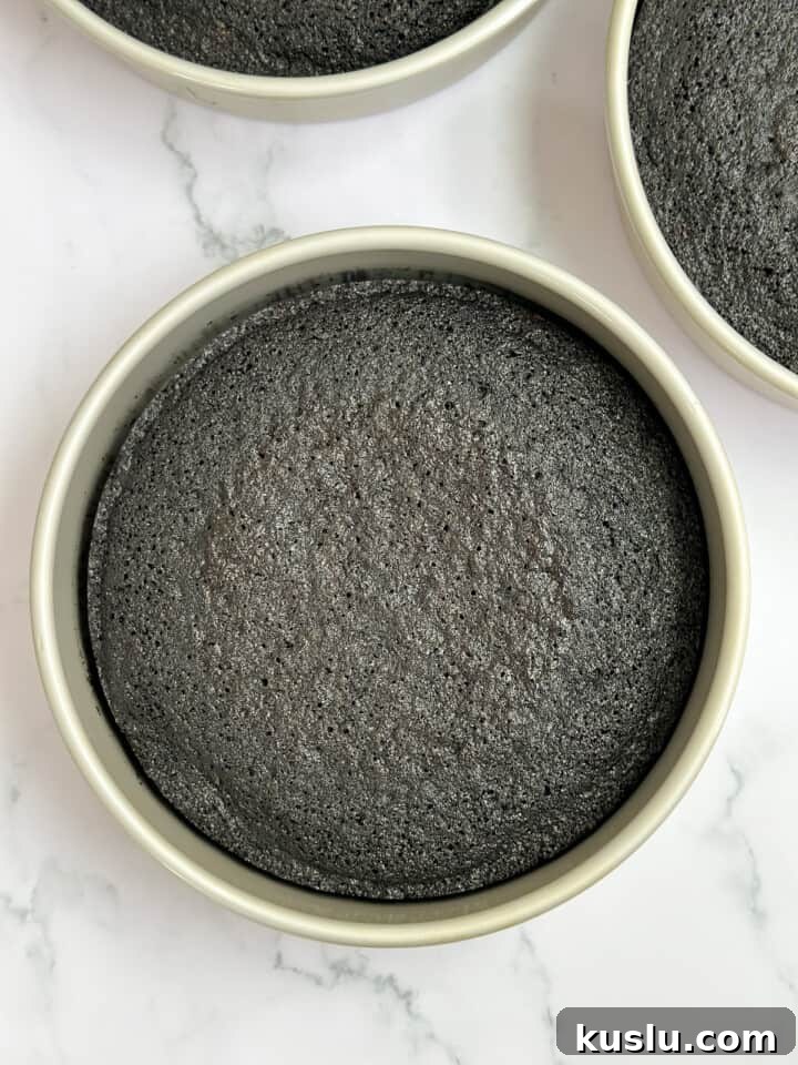 the cake in the pan after baking.