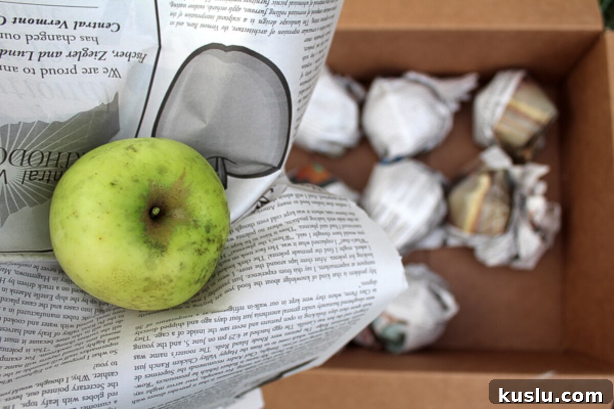 Store Apples Fresh for Over a Year Without a Root Cellar 2 Storing Apples in a Root Cellar