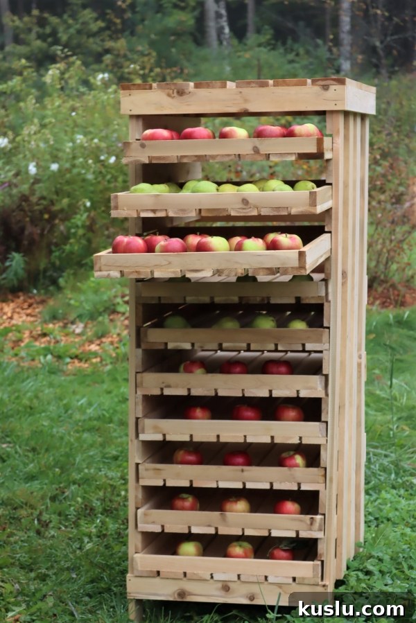 Store Apples Fresh for Over a Year Without a Root Cellar 3 Homemade apple storage rack
