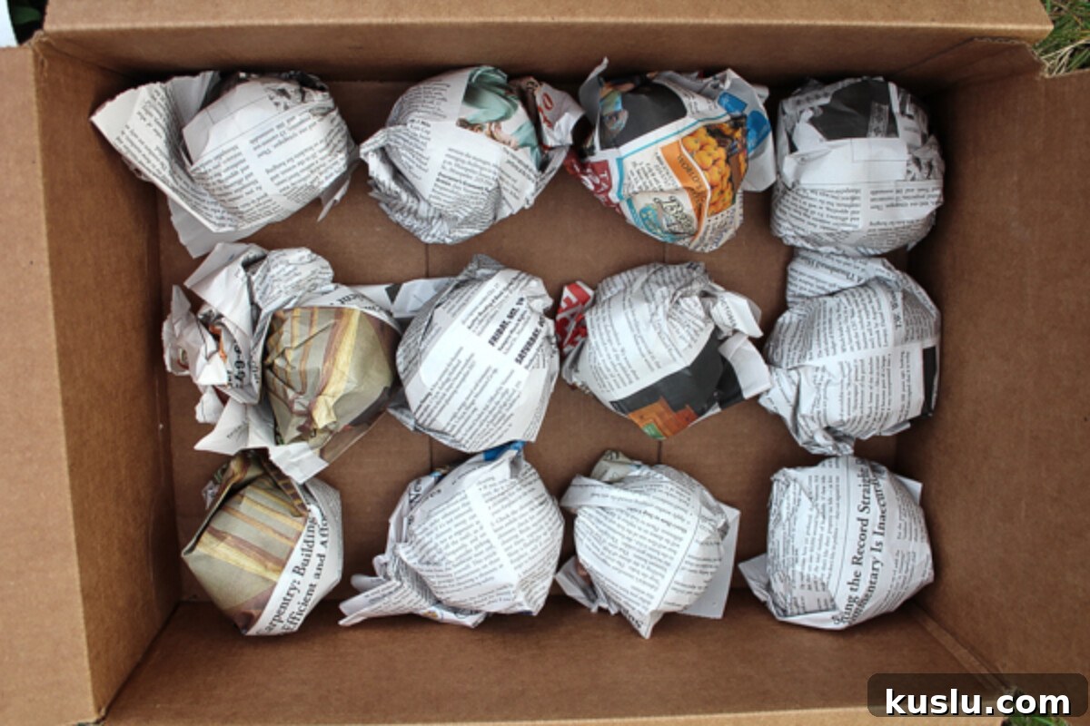 Store Apples Fresh for Over a Year Without a Root Cellar 5 Storing Apples in a Root Cellar