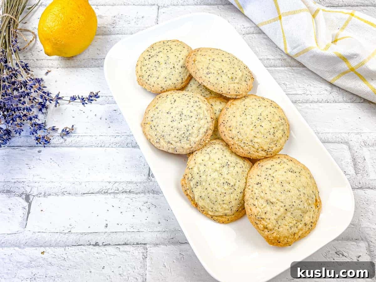 17 Tangy Lemon Recipes Made for Flavor, Not Fancy Presentation 12 A top-down shot of Lemon Poppy Seed Cookies on a white plate.