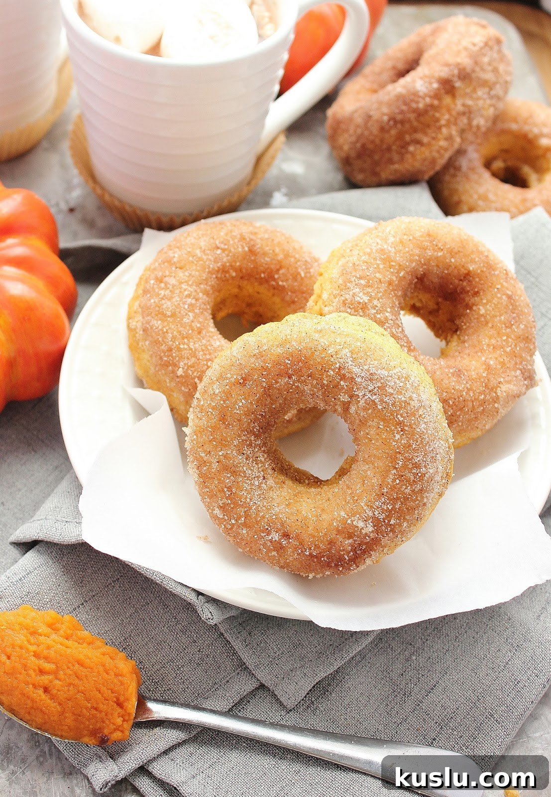 Baked Pumpkin Cinnamon-Sugar Donuts Recipe for Fall Baking 2 Baked pumpkin donuts