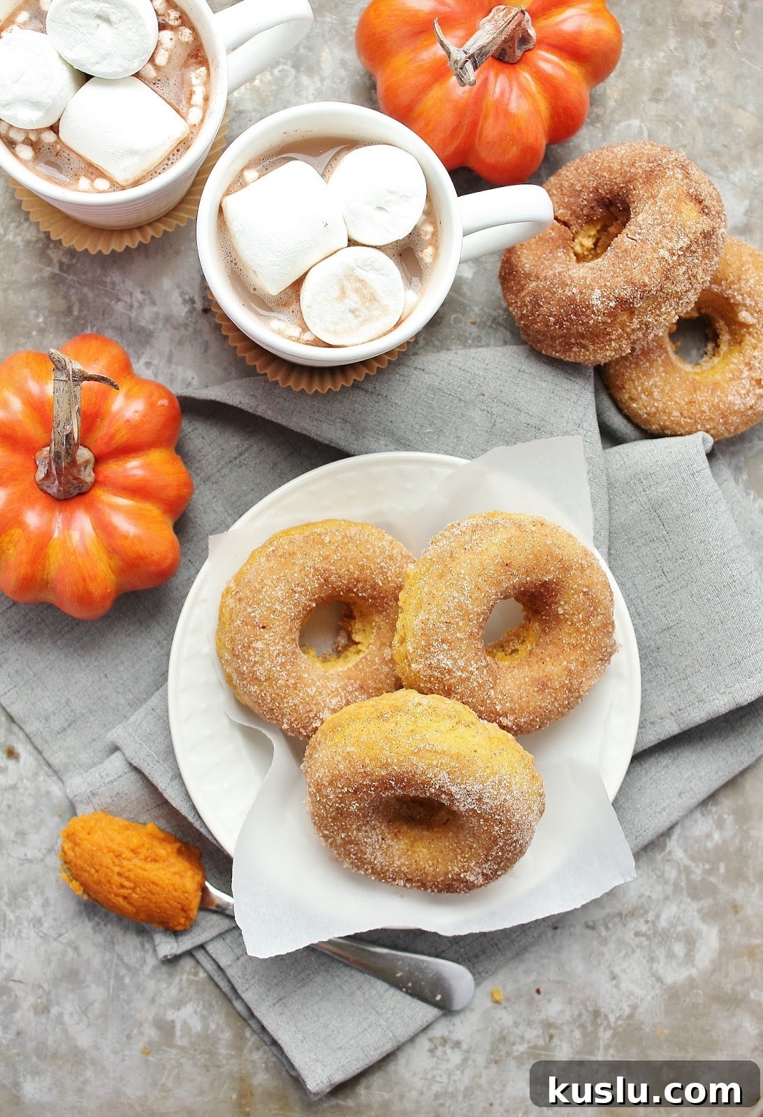 Baked Pumpkin Cinnamon-Sugar Donuts Recipe for Fall Baking 3 Pumpkin donuts on a plate