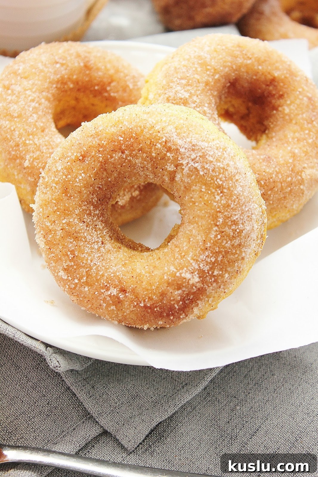 Baked Pumpkin Cinnamon-Sugar Donuts Recipe for Fall Baking 5 Freshly baked pumpkin donuts
