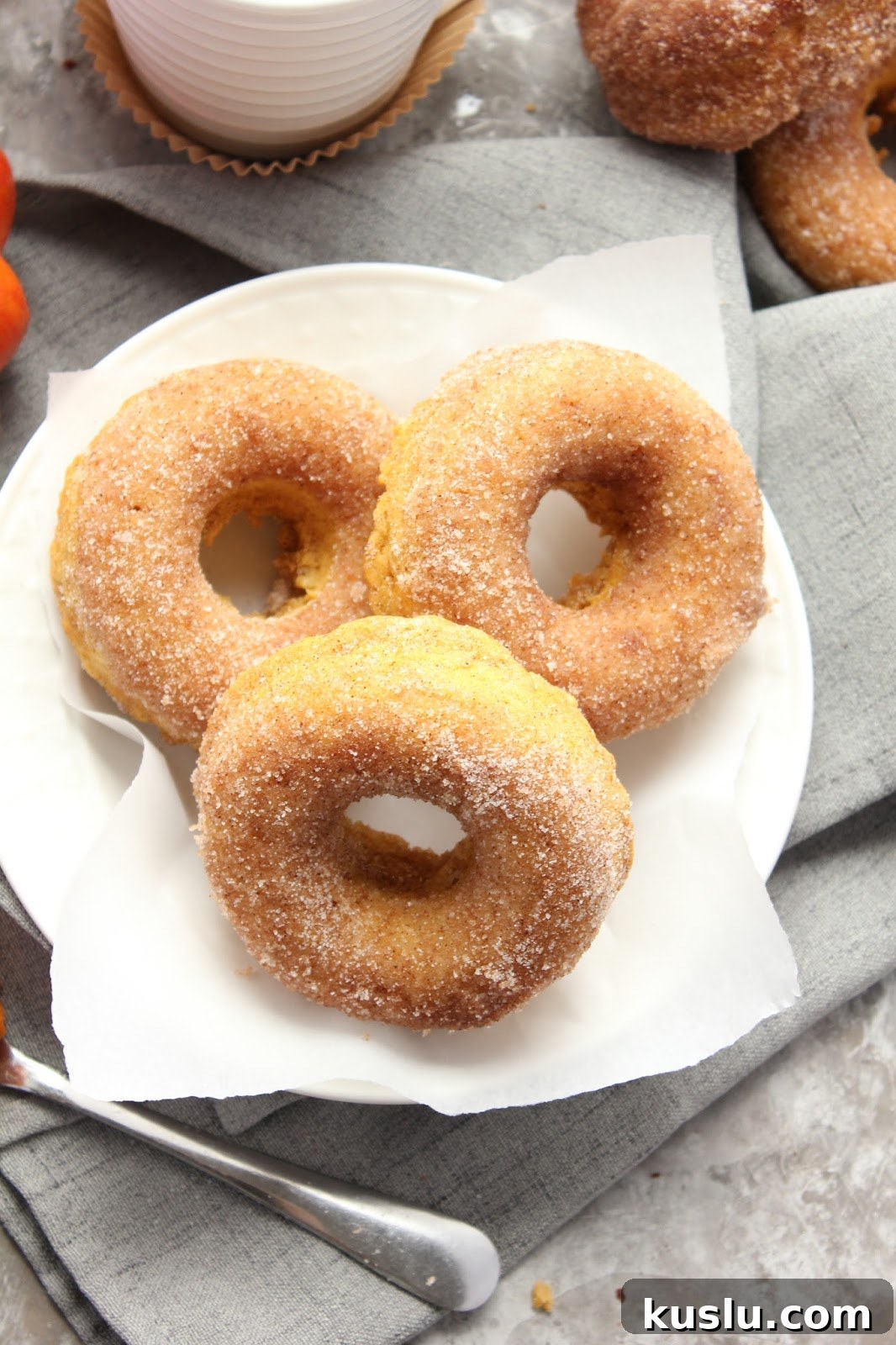 Baked Pumpkin Cinnamon-Sugar Donuts Recipe for Fall Baking 6 Cinnamon sugar coated donuts