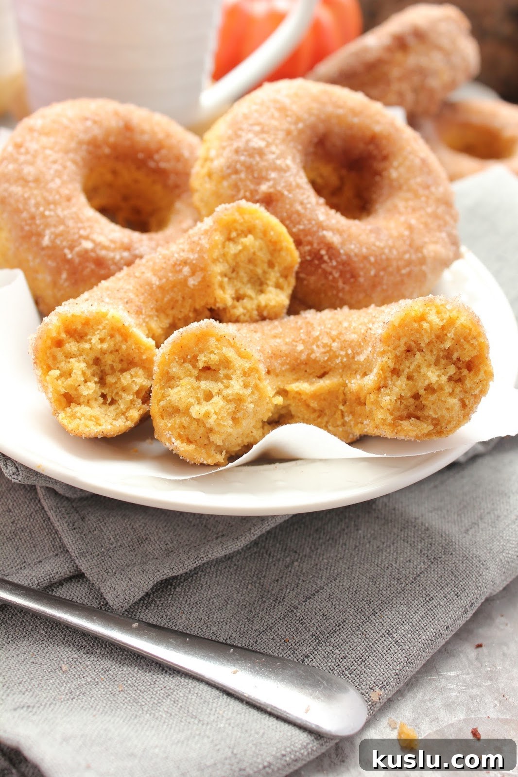 Baked Pumpkin Cinnamon-Sugar Donuts Recipe for Fall Baking 8 Donuts and hot chocolate