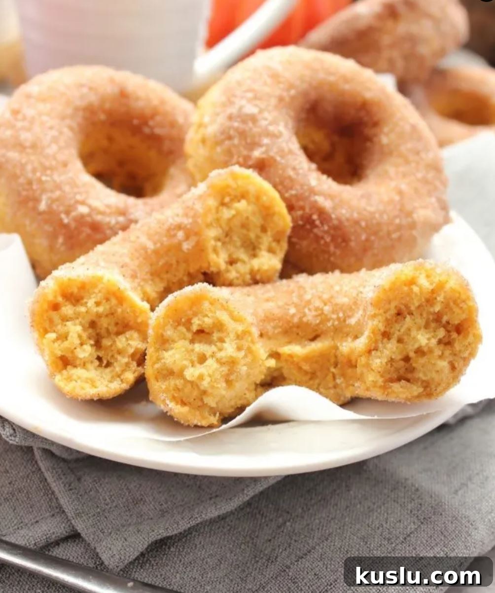 Baked Pumpkin Cinnamon-Sugar Donuts Recipe for Fall Baking 9 Donut recipe image