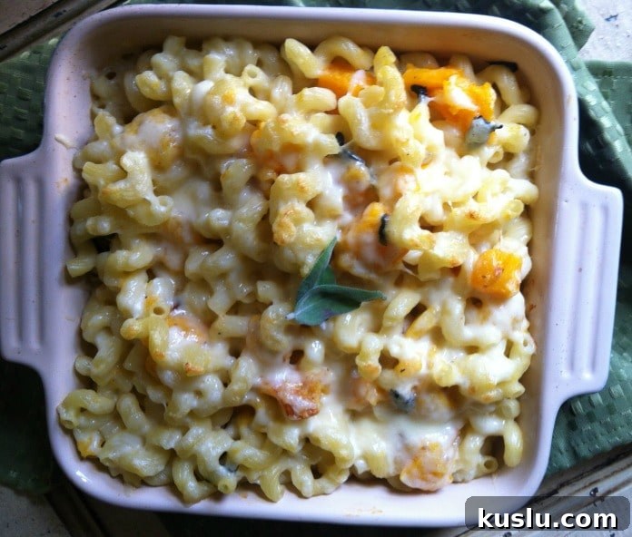 Roasted Butternut Squash and Sage Mac & Cheese recipe