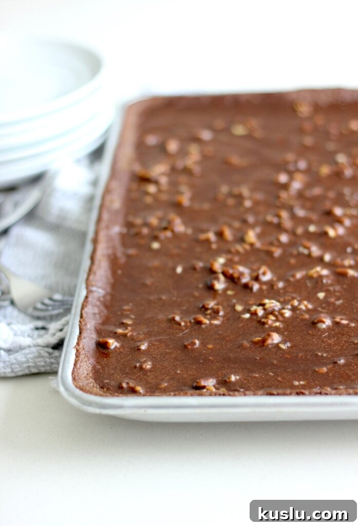 Ultimate Texas Sheet Cake Recipe: Moist Chocolate Sheet Cake 2 img 9878 1