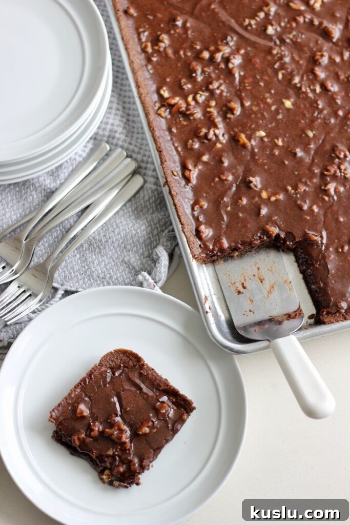 Ultimate Texas Sheet Cake Recipe: Moist Chocolate Sheet Cake 6 img 9878 5