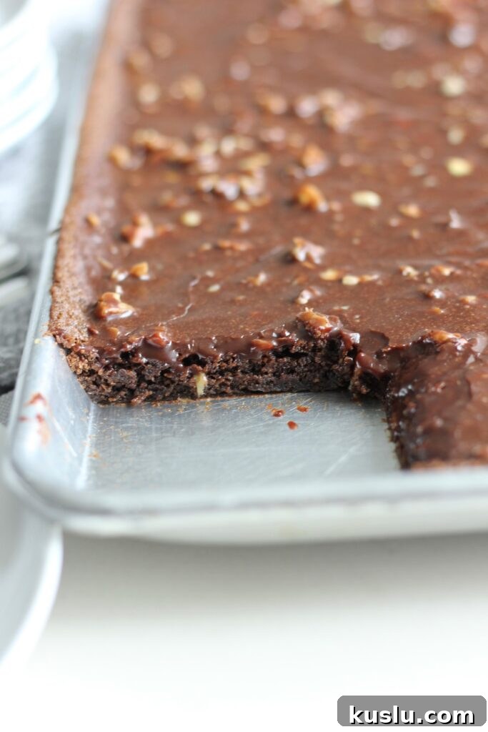 Ultimate Texas Sheet Cake Recipe: Moist Chocolate Sheet Cake 7 img 9878 6