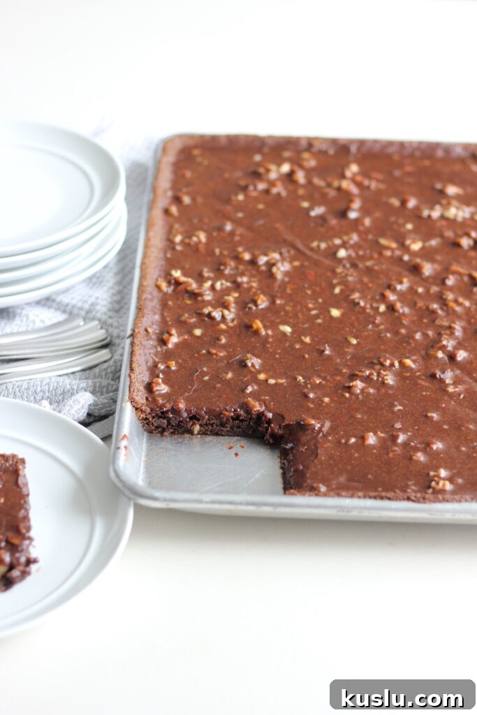 Ultimate Texas Sheet Cake Recipe: Moist Chocolate Sheet Cake 8 img 9878 7