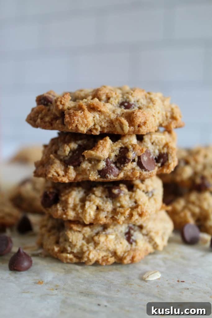 Soft Chewy Almond Flour Oatmeal Cookies — Gluten-Free Recipe 11 side shot of stacked oatmeal flour cookies