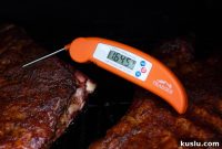 Traeger Thermometer: Full Review and Performance Guide