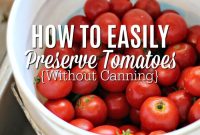 How to Freeze Tomatoes Without Canning: Step-by-Step Guide