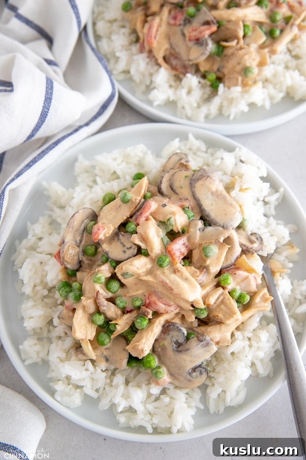 overhead shot of a serving of dairyfree chicken a la king served over rice 