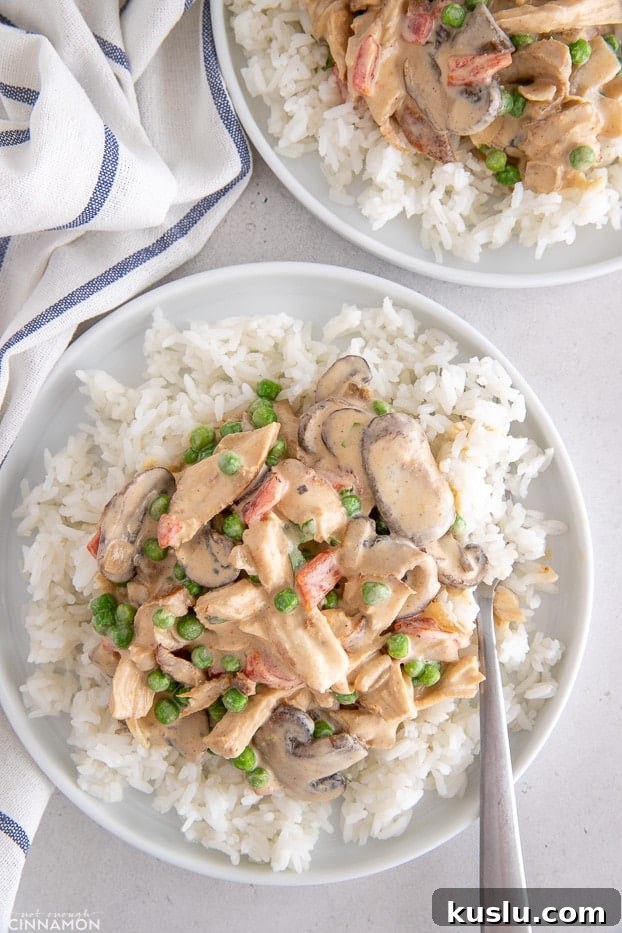 overhead shot of a serving of chicken a la king served over rice