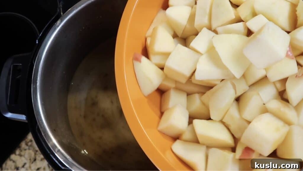 Adding diced apples and potatoes to pot
