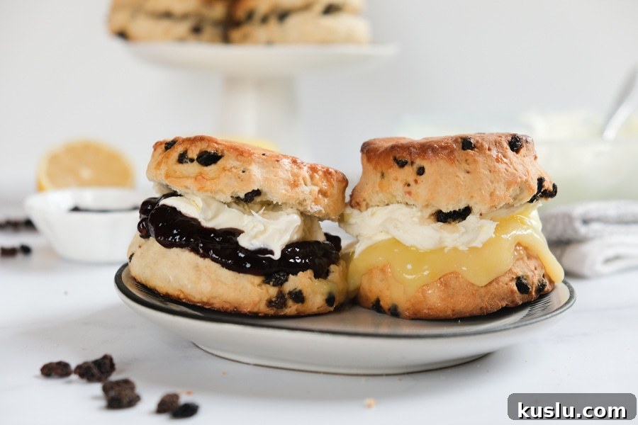 British scones with lemon curd, jam and clotted cream
