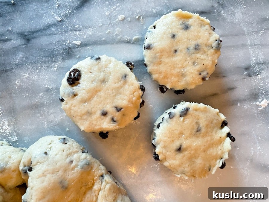 the cut out scones