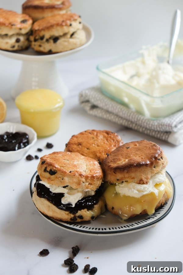 British Currant Scones with cream and jam on plate