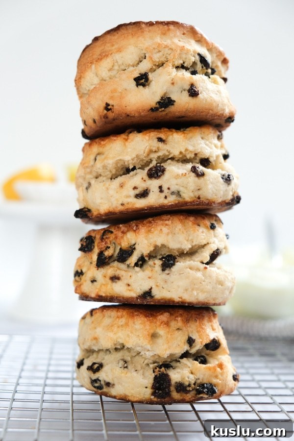 stack of British Currant Scones