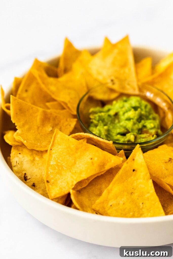 a side view of a bowl of tortilla chips with guacamole.