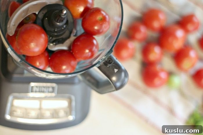 tomatoes in a food processor