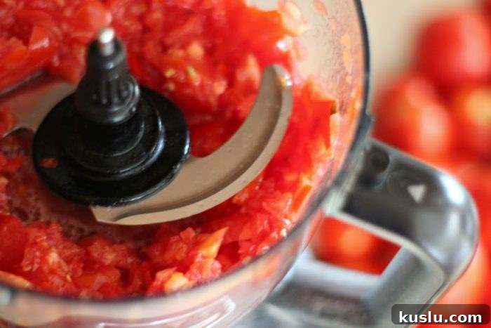 crushed tomatoes in a food processor to be frozen
