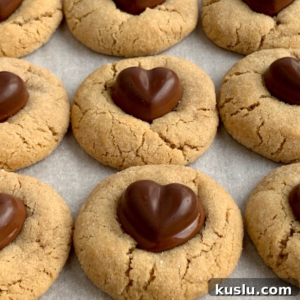 Several round peanut butter cookies with a chocolate heart pushed down in the middle.